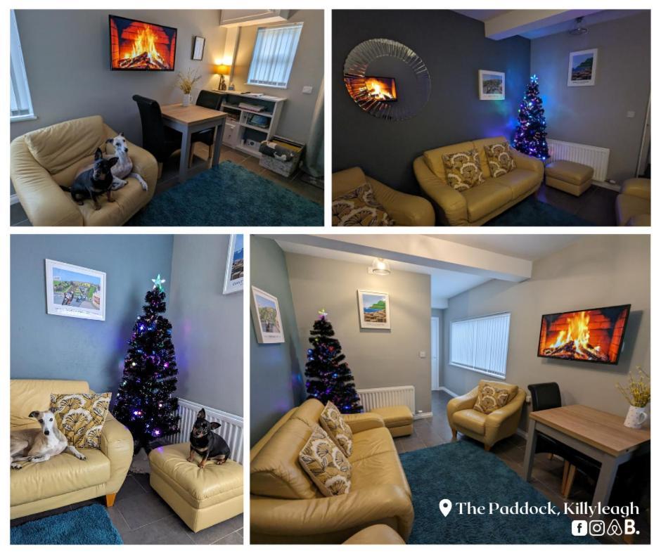 Apartamento The Paddock Killyleagh Exterior foto