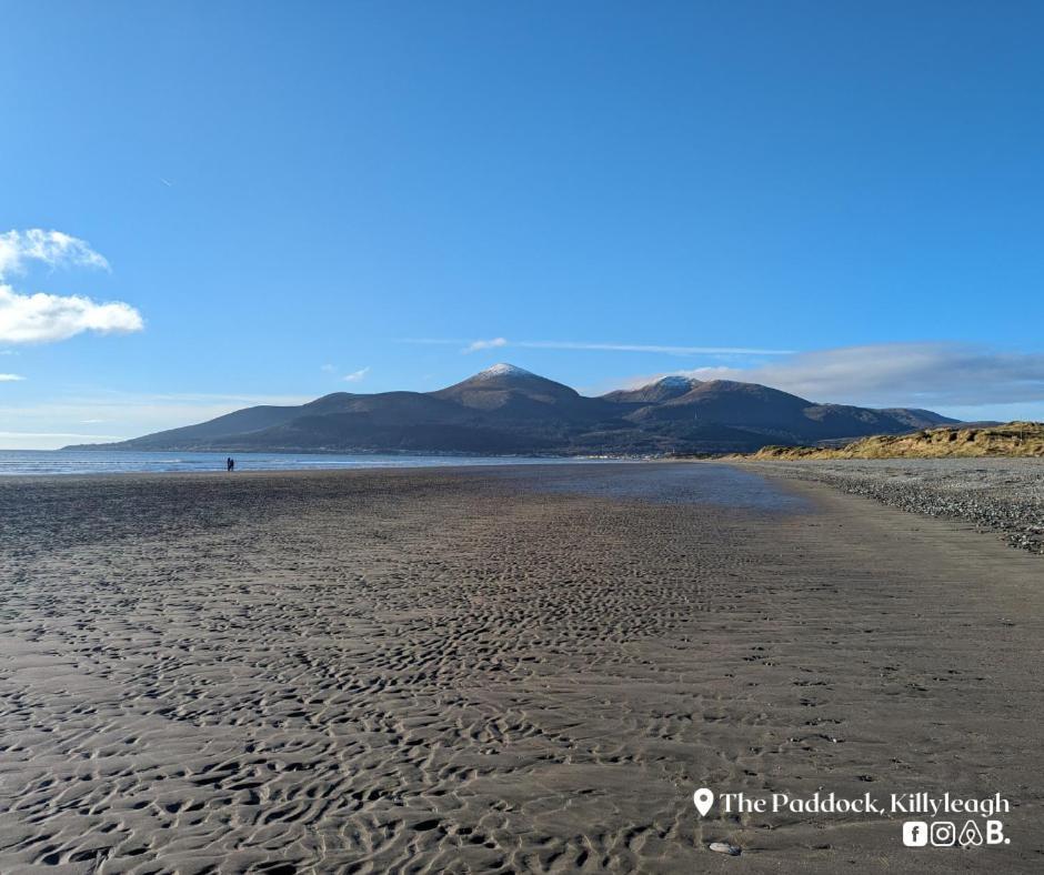 Apartamento The Paddock Killyleagh Exterior foto
